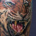 Tattoos - Tiger Tattoo - 9613